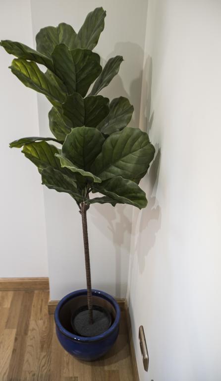 Tu Hogar En Chamberi Apartment Madrid Bagian luar foto